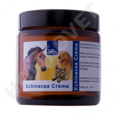 Creme Echinacea
